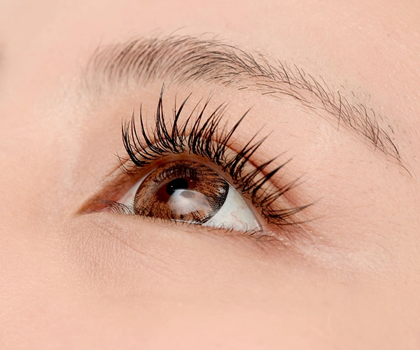 Eyelash-perm